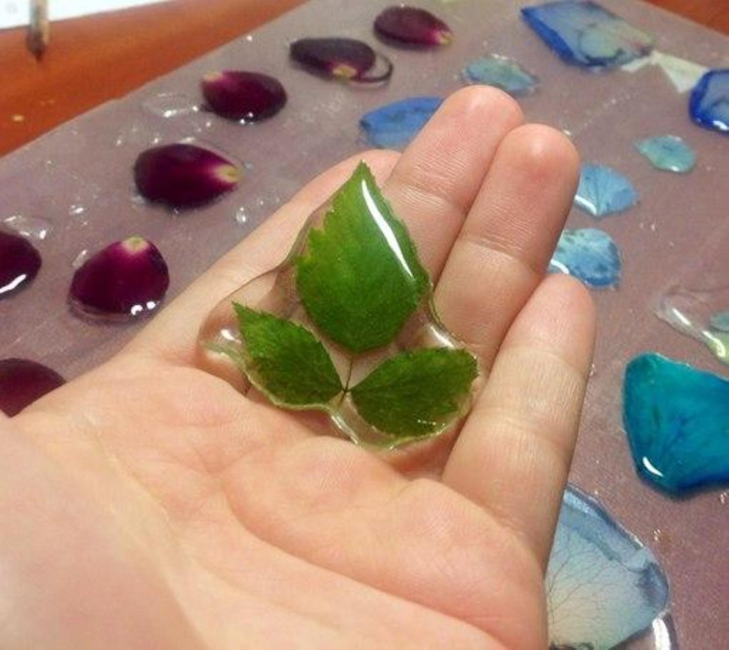 Можно ли заливать живые цветы эпоксидной смолой. Эпоксидная смола кристалл. Магнитики из эпоксидной смолы. Бижутерия из эпоксидной смолы. Можно ли заливать живые цветы эпоксидной смолой.