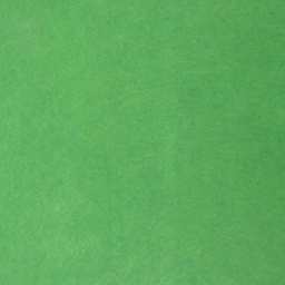 Фетр 20х30 см жесткий, толщина 1 мм, цвет: травяной (078)