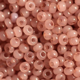 Бисер  02111 Preciosa 10/0