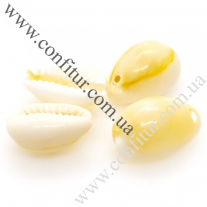 Бусины 16~18*12~13*5~7 мм Каури ракушки морские натуральные слоновая кость, отв. 2 мм